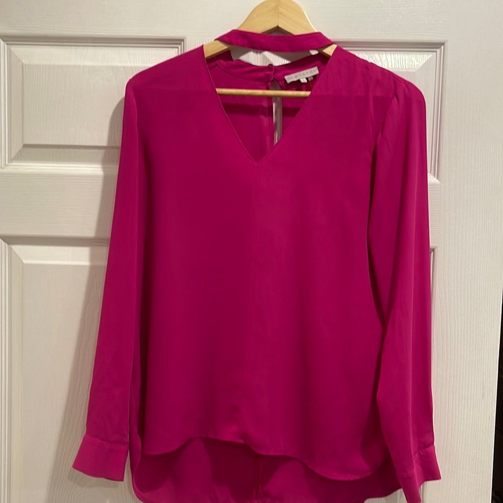 1. State Blouse